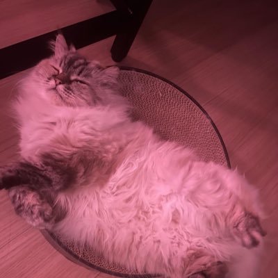 BzabIeNWGdDmls2's profile picture. 