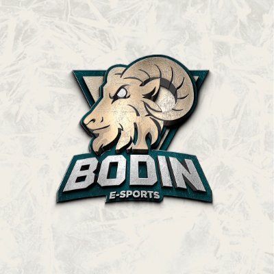 Bodinesports