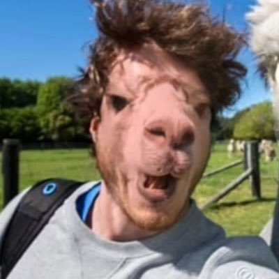 kikitoyearak's profile picture. حاصل  همخوابی مادرم و دالایی لاما