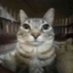 anwime (@anwimee) Twitter profile photo anwime (@anwimee) Twitter profile photo