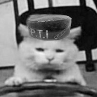 s. (@neutrondust_) 's Twitter Profile Photo