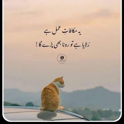 💥😂خیر سانوں کی اسی کیڑا عشق کیتا🔥✨