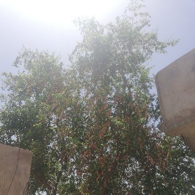 Amirzaman777's profile picture. 