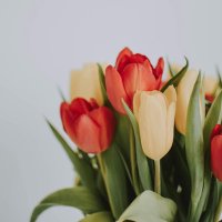 rooru_05 (@fun2nny) 's Twitter Profile