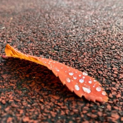 Aleksandar2946's profile picture. O wretched man that I am! Who will deliver me from this body of death? I thank God—through Jesus Christ our Lord!