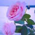ابو علي (@fhyd_najy) Twitter profile photo ابو علي (@fhyd_najy) Twitter profile photo