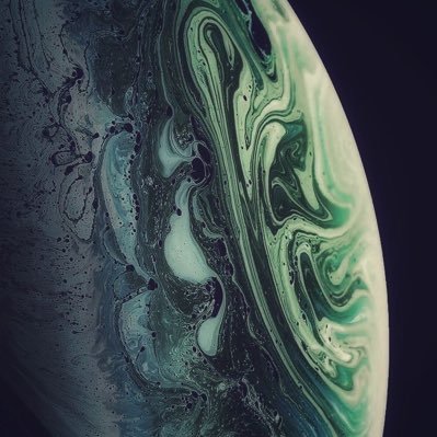 seinsan_'s profile picture. 