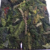 DeeShackle (@didiuuuu) 's Twitter Profile