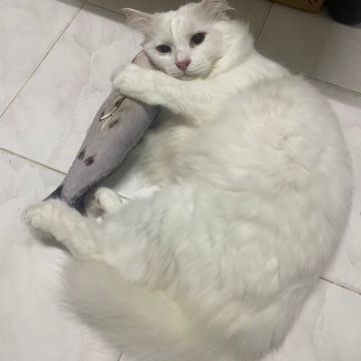 MunieYana's profile picture. 薬剤師💊