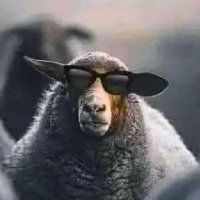 La Oveja Negra (@soyandaluz4) 's Twitter Profile