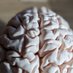 Brain / Neuro Courses Alerts (@braincourses) Twitter profile photo Brain / Neuro Courses Alerts (@braincourses) Twitter profile photo