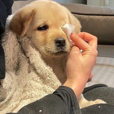 bbom_appreciate's profile picture. 20↑ 성인 成人済み 夢