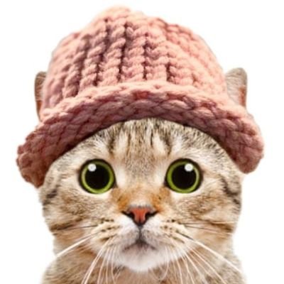 Telegram : https://t.co/oK0NjCYEXo

The largest #Meme Coin mined on the #Solana network is #Catwifhat.Listed on many stock exchanges.
