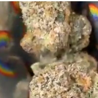 freakymeezy's profile picture. Real boss nigga I can treat u right