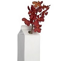 milkicode's profile picture. coding for procrastination