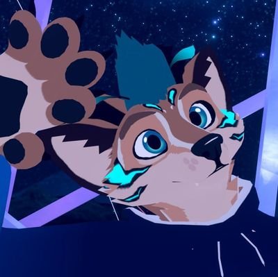 Connor Patsさんのプロフィール画像