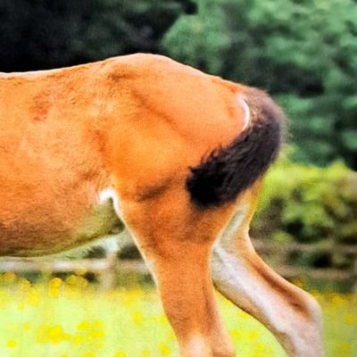 APoPDplGBRHpYRb's profile picture. 🚙の中で居眠りしたら焦げました😭
