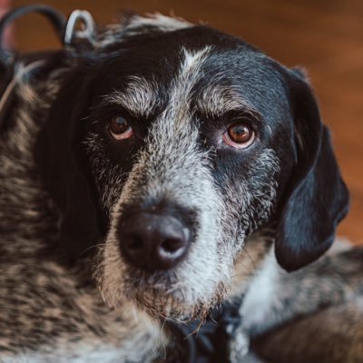 onur_algotrader's profile picture. Wannabe trader, retired rockstar, Formula 1 fan.