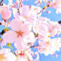 tera (@terasa58rei) 's Twitter Profile Photo