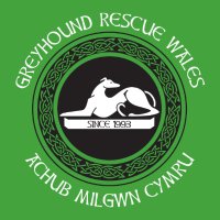 GreyhoundRescueWales(@WelshGreyhounds) 's Twitter Profile Photo