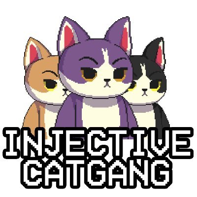 When we work together, we make things easier. Like pieces of a puzzle, we fit better and create something beautiful. - Injective Cat Gang