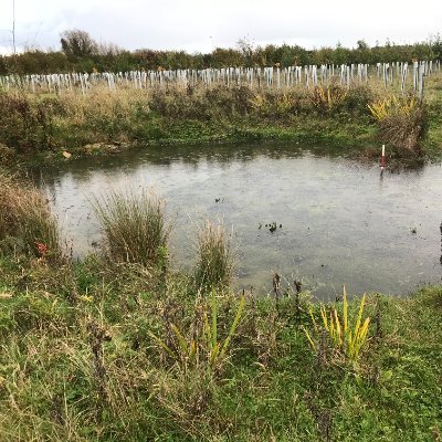 Neek_003's profile picture. 