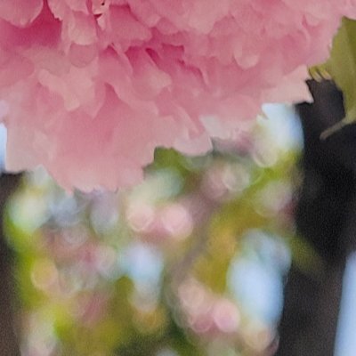 itoko_x's profile picture. 20↑/趣味絵 アナログ派/地雷・どうしても苦手なものは自衛させて頂いています