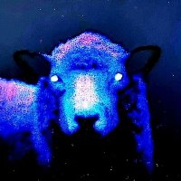 Ben Walker (@sheep8benwalker) 's Twitter Profile