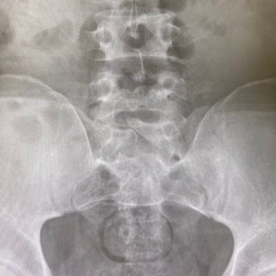 yutty489's profile picture. iGEM Qdai