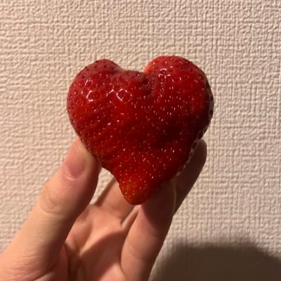 rentaro_111bro's profile picture. (26)Nikon z50📷 カメラ勉強中です🔰 わしゃがなTV