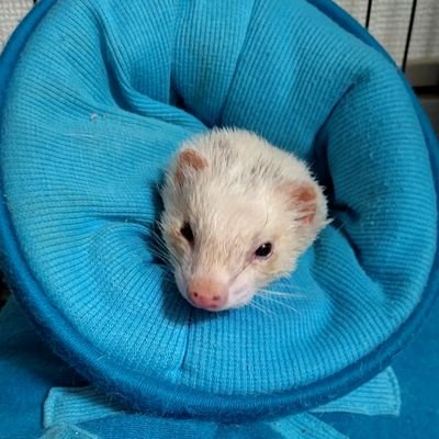 てったさんのプロフィール画像
