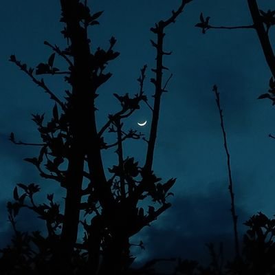 NaeemHaleema's profile picture. Everyday, I relearn what happiness means✨💫
Lawyer