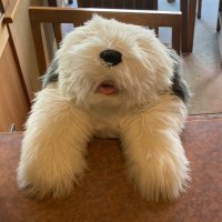 やっぷ (@yup_hq) 's Twitter Profile