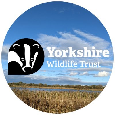 A Yorkshire charity dedicated to conserving & restoring our wildlife on land & sea. Please visit @YorksWildlife for news from across Yorkshire Wildlife Trust.