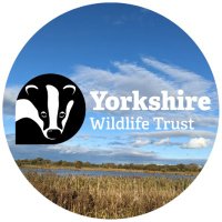 Yorkshire Wildlife Trust - North Yorkshire(@YWT_North) 's Twitter Profileg