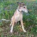 vixen - @VickyArcher - Twitter