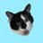 tonotohon's profile image