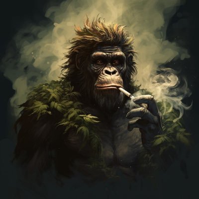 broshi_xyz's profile picture. on chain hunter | shitcoiner since 2021