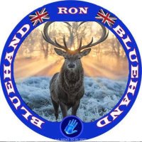 Ron #British Independence #BREXIT IFB(@RonBrexiter) 's Twitter Profile Photo