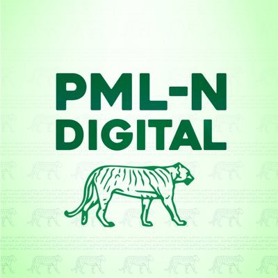 Only PML-N can bring back Pakistan on the track of development.