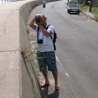 slow. (@mocchitaro) 's Twitter Profile Photo slow. (@mocchitaro) 's Twitter Profile Photo