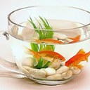 Mariah Ford - @MariahFord1 - Twitter