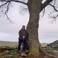 steve (@stevesteve1972) 's Twitter Profile