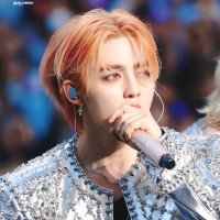 Bear Cherry🍒 (@bearcherry0808) 's Twitter Profile Photo