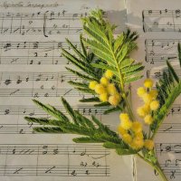 Samantha Johnson (@samanthaj121200) 's Twitter Profile Photo