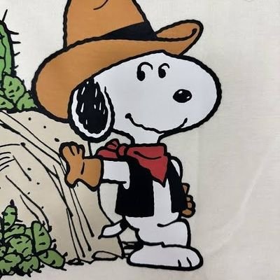 Snoopy fanatic
New account 😒