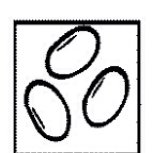 BeenBeanBeinSOS's profile picture. prove to @ellismate that we are worth keeping