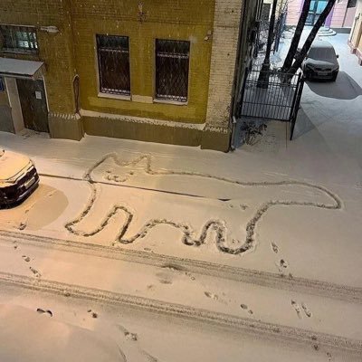 LLi2049's profile picture. 此人已入门，阿门😇🙏