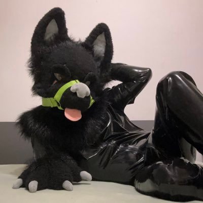 Latex_wolf