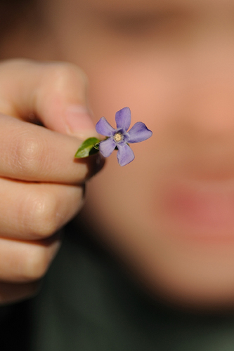 photowendy's profile picture. 